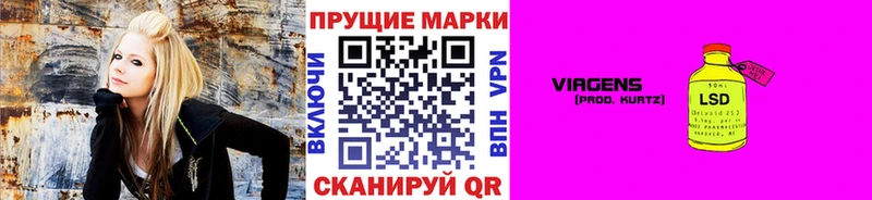 магазин  наркотиков  Вольск  Наркотические марки 1,8мг 