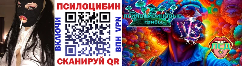 закладки  Вольск  Галлюциногенные грибы GOLDEN TEACHER 